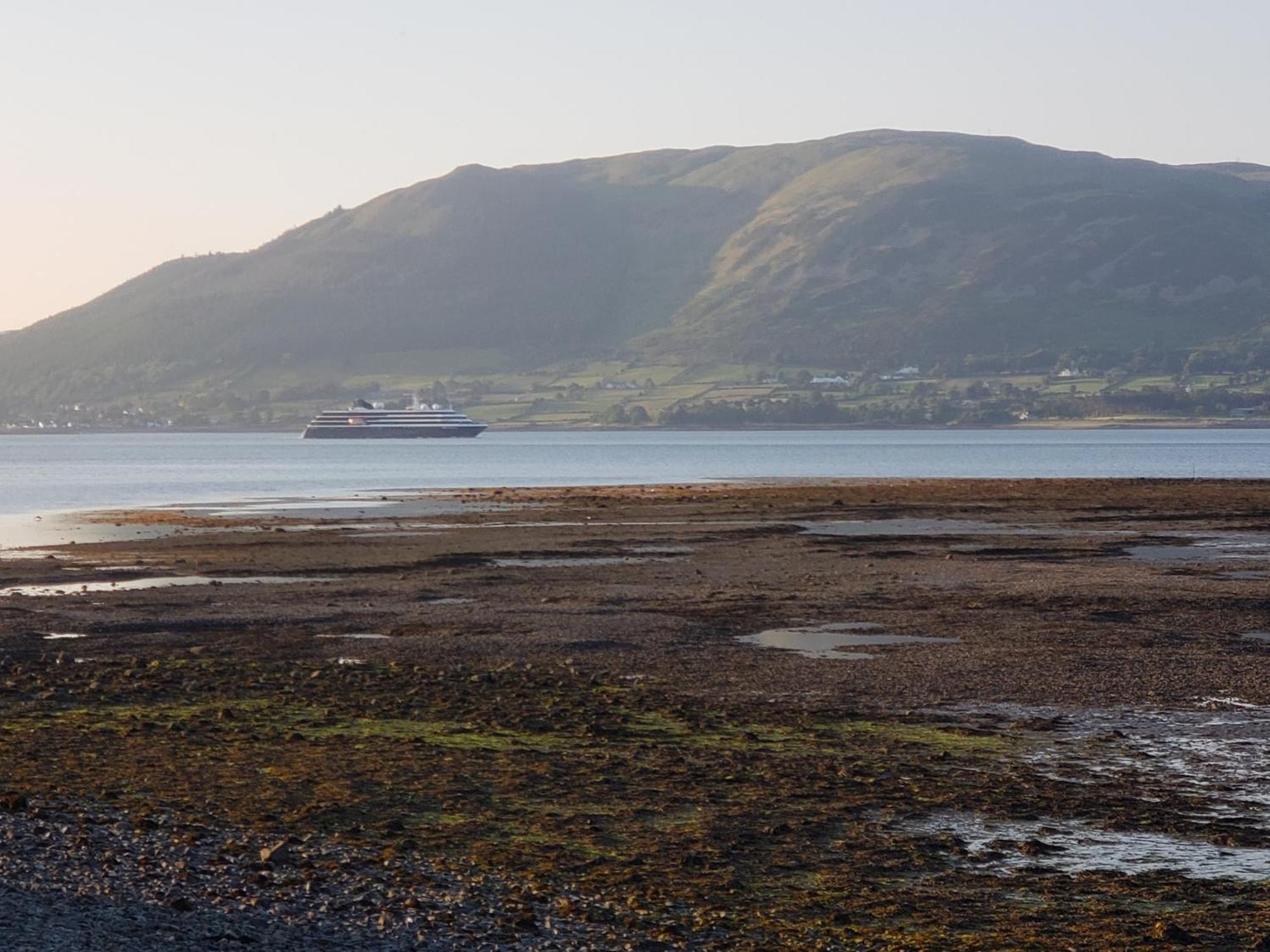 The Oystercatcher Lodge Carlingford Extérieur photo