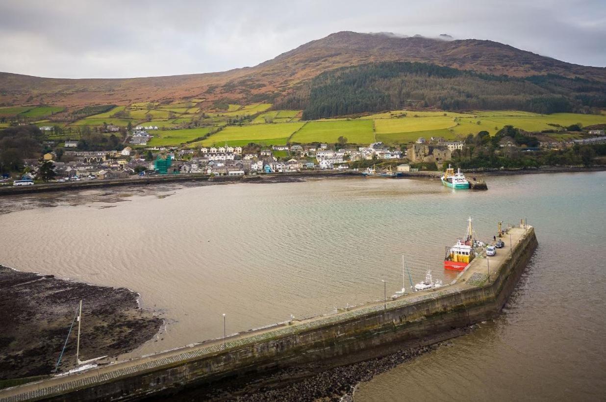 The Oystercatcher Lodge Carlingford Extérieur photo