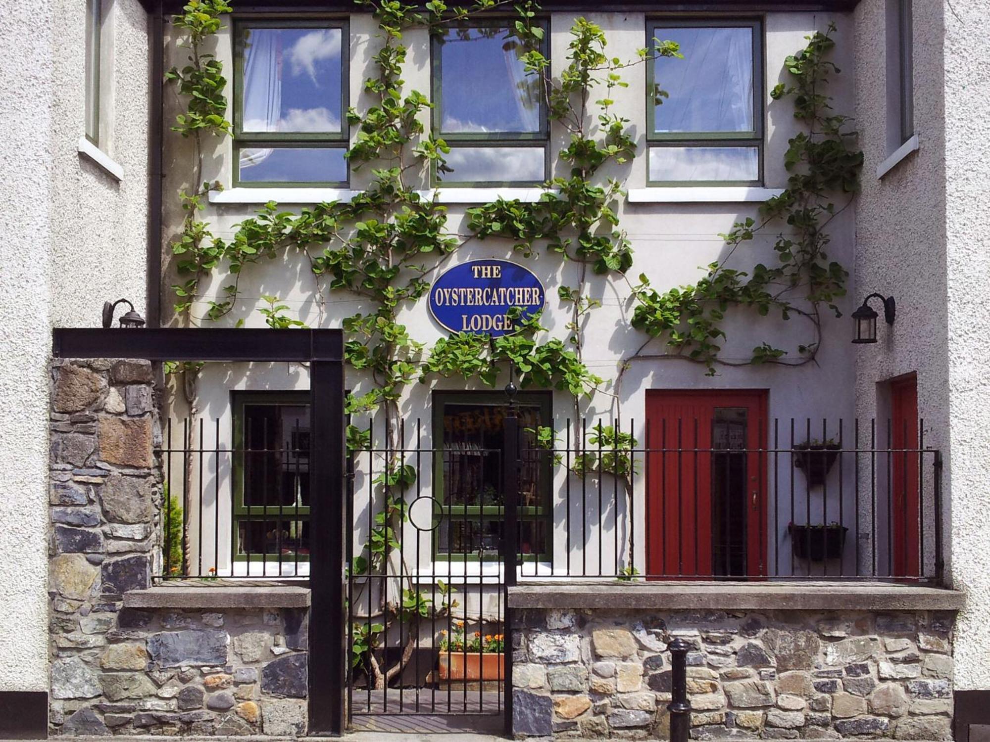 The Oystercatcher Lodge Carlingford Extérieur photo